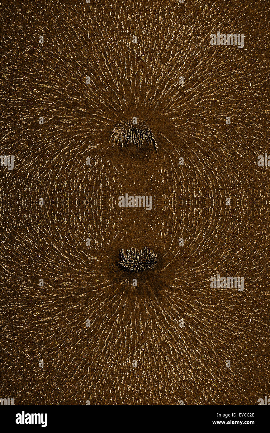 Attrazione e repulsione ferro particelle metalliche allineare lungo i campi magnetici delle linee create da un magnete a barra invisibile per vedere Foto Stock