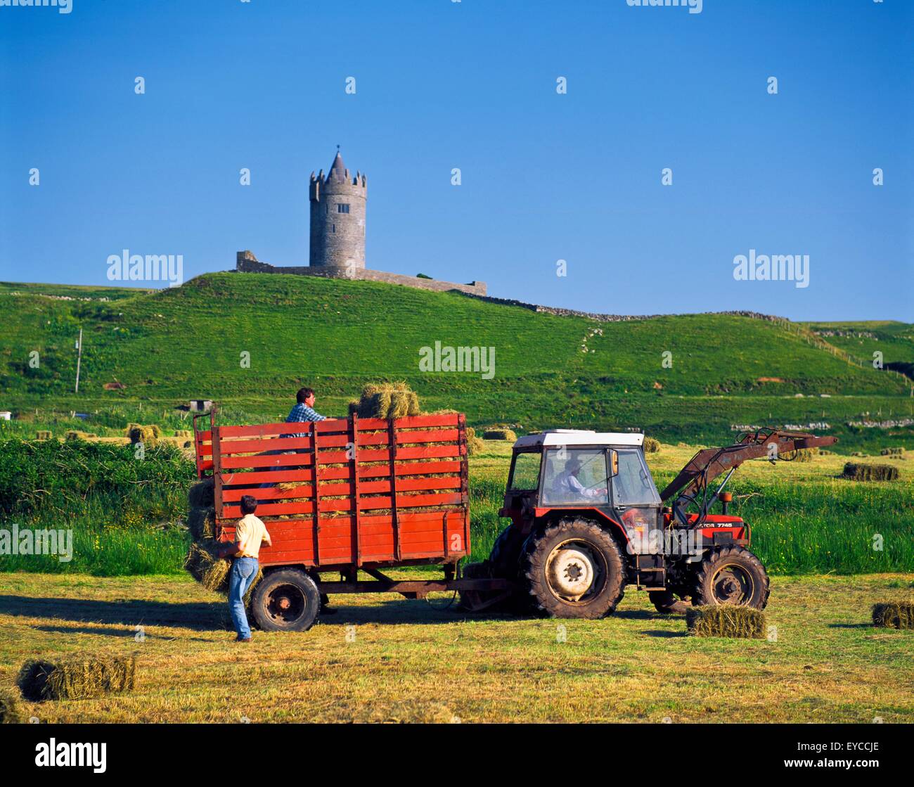 Fienagione, Ballynalacken, Castello Co Clare Foto Stock