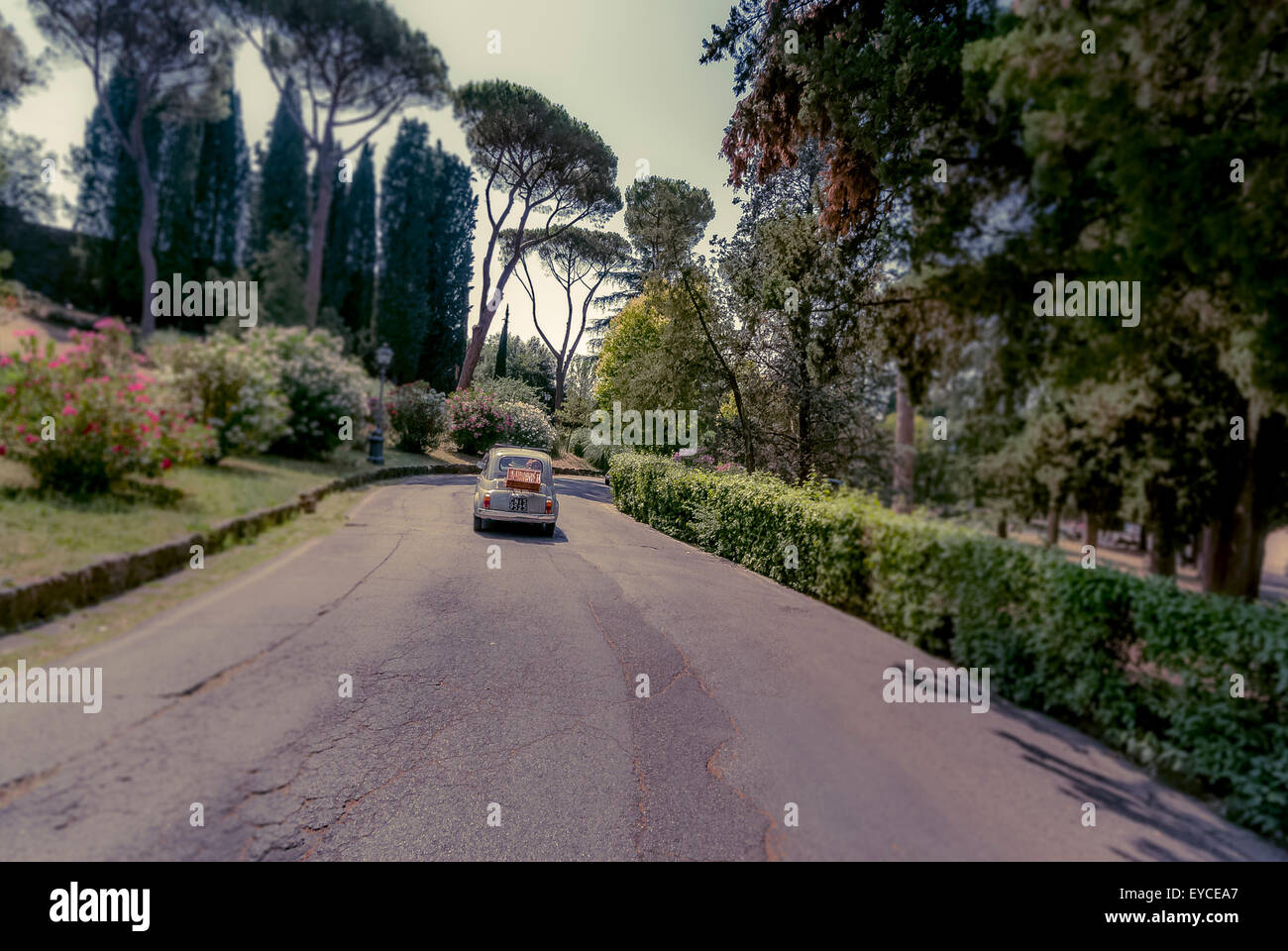 Classic Fiat 500 auto guidando su una strada di Firenze, Italia. Inquadratura da dietro. Foto Stock