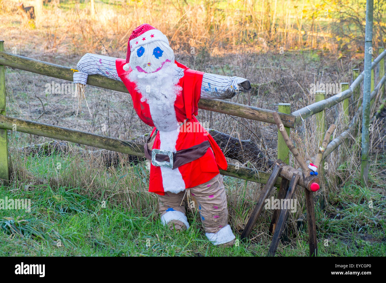 Gli agricoltori lo spaventapasseri vestiti da Babbo Natale, Lancashire, Inghilterra Foto Stock