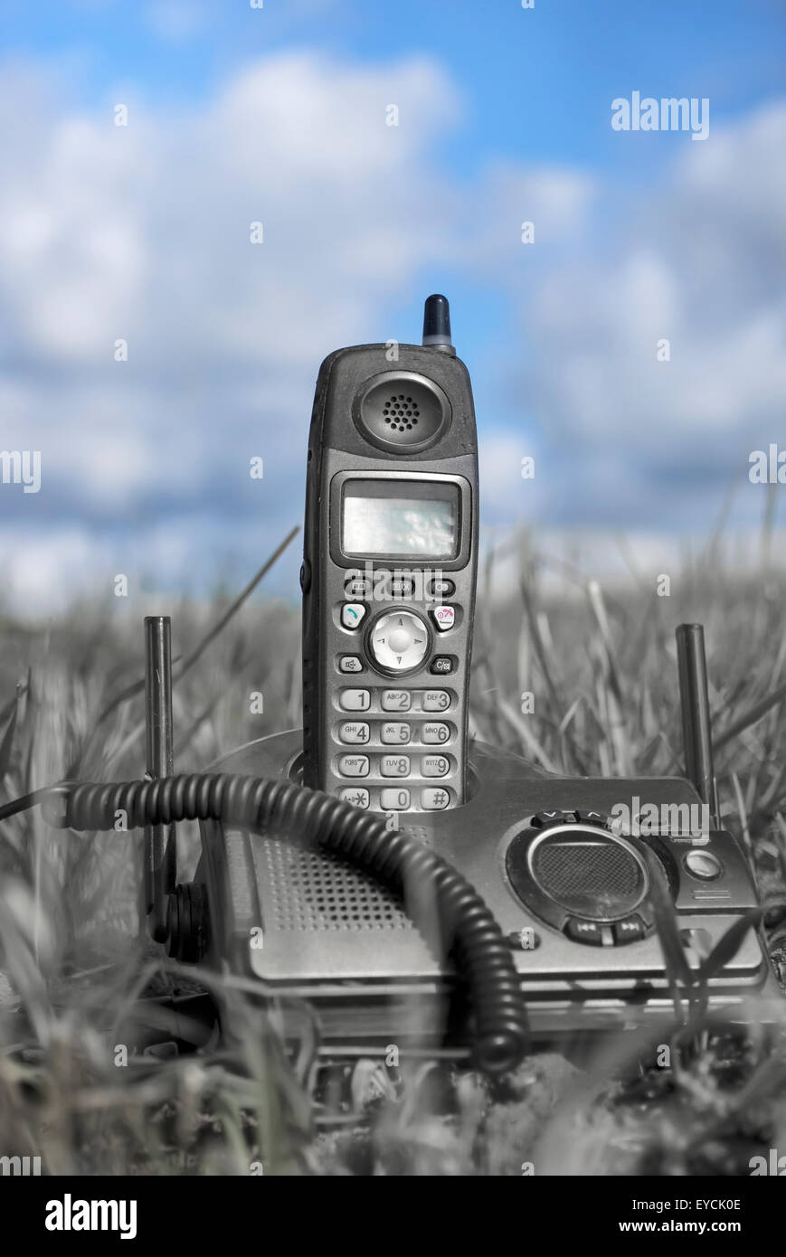 Telefono cordless sull'erba Foto Stock