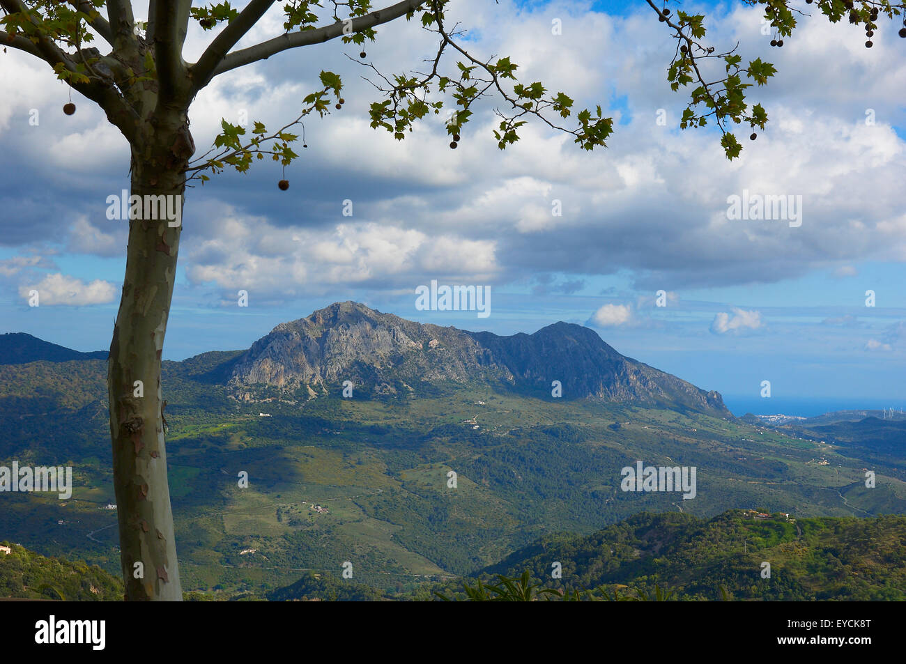 A Gaucin, Sierra Bermeja, Serrania de Ronda. Provincia di Malaga, Andalusia. Spagna. Foto Stock