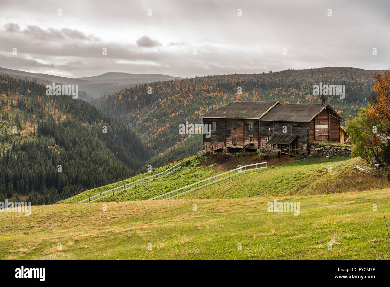 Tipica casa colonica norvegese sparso in autunno nei pressi di Rondane National Park, Norvegia Foto Stock