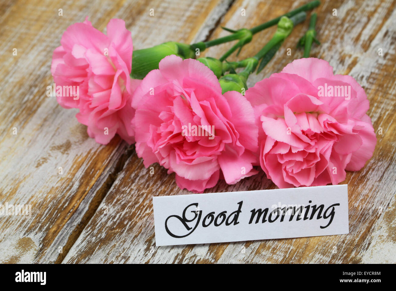 Buona mattina scheda con i garofani rosa su legno rustico Foto Stock
