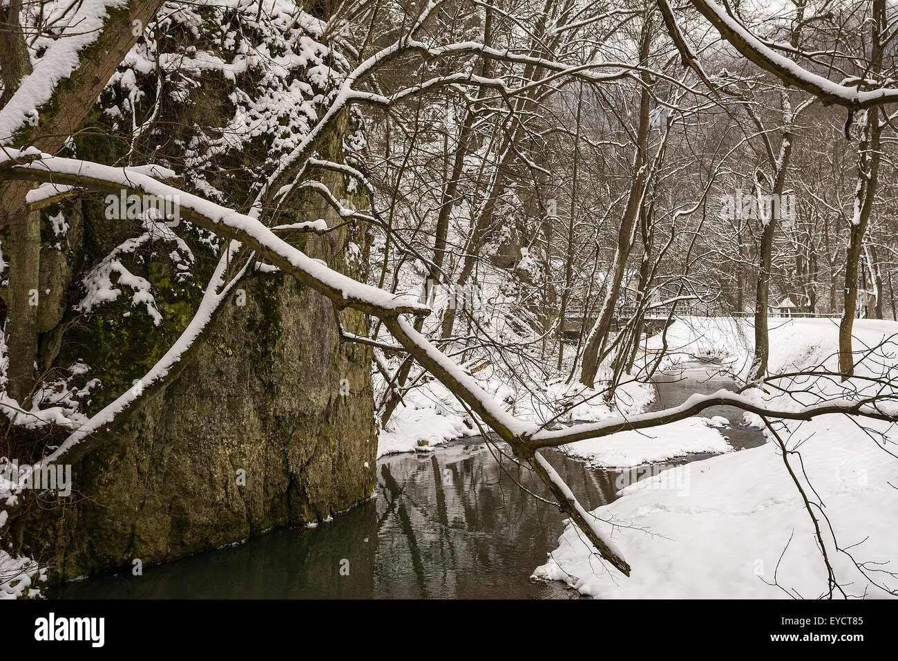 Ojcowski National Park in inverno (Polonia) Foto Stock