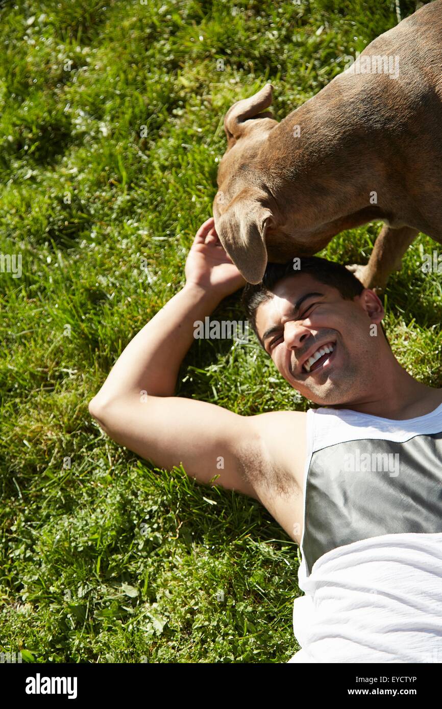 Vista aerea del giovane uomo giocando con il cane di erba Foto Stock
