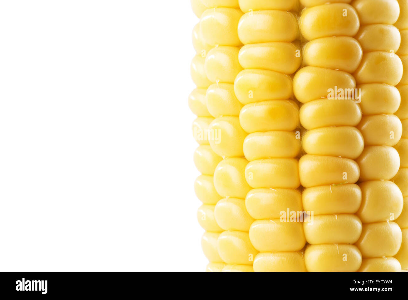 Mais dolce orecchio isolato su uno sfondo bianco. Foto Stock