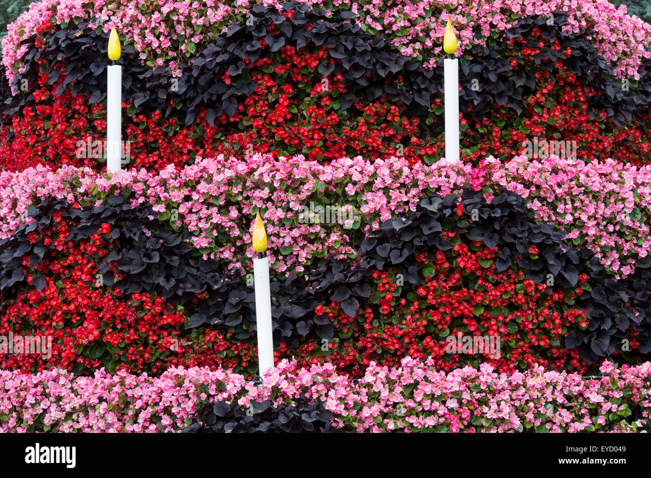 Celebrazione VertiGarden torta dalla sfera Colegrave. Oxfordshire, Inghilterra Foto Stock