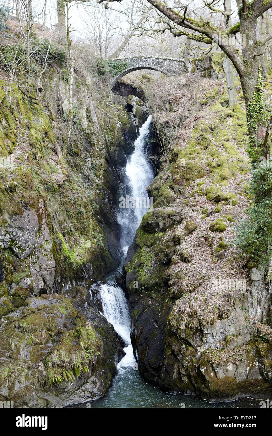 Aira Force cascata Lake District Foto Stock