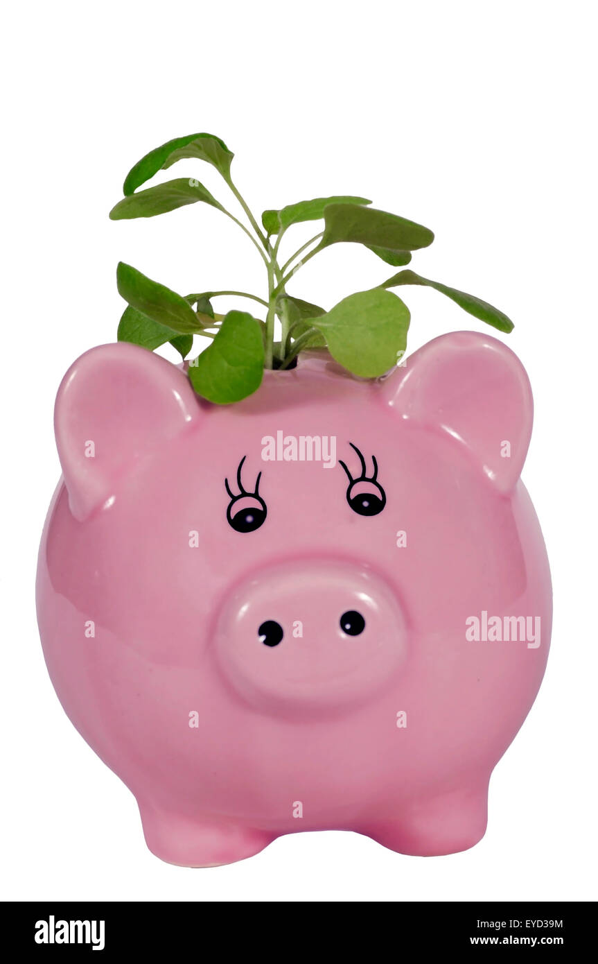 Un modo per guardare i vostri risparmi crescono concetto. Isolato su bianco Foto Stock