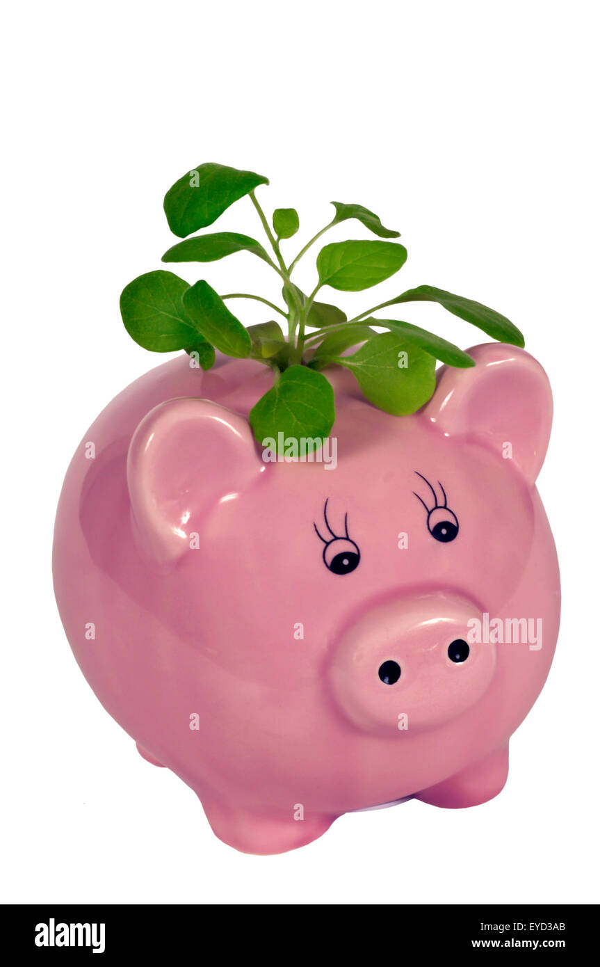 Guarda i tuoi risparmi crescono concetto con rosa salvadanaio e piccola pianta su sfondo bianco Foto Stock