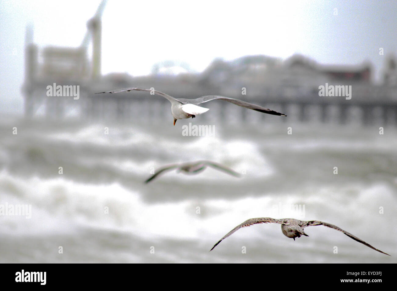 Brighton, East Sussex, UK..27 luglio 2015..Vento Forte e mare mosso sulla costa meridionale Foto Stock
