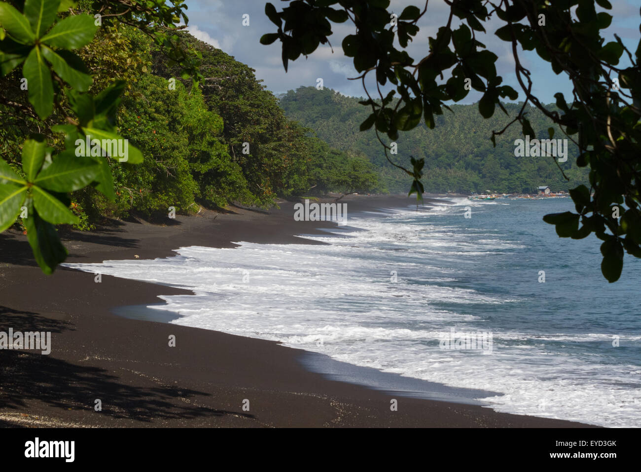 Foresta tropicale e spiaggia con sabbia vulcanica nera, nella Riserva Naturale di Tangkoko, Sulawesi Settentrionale, Indonesia. Foto Stock