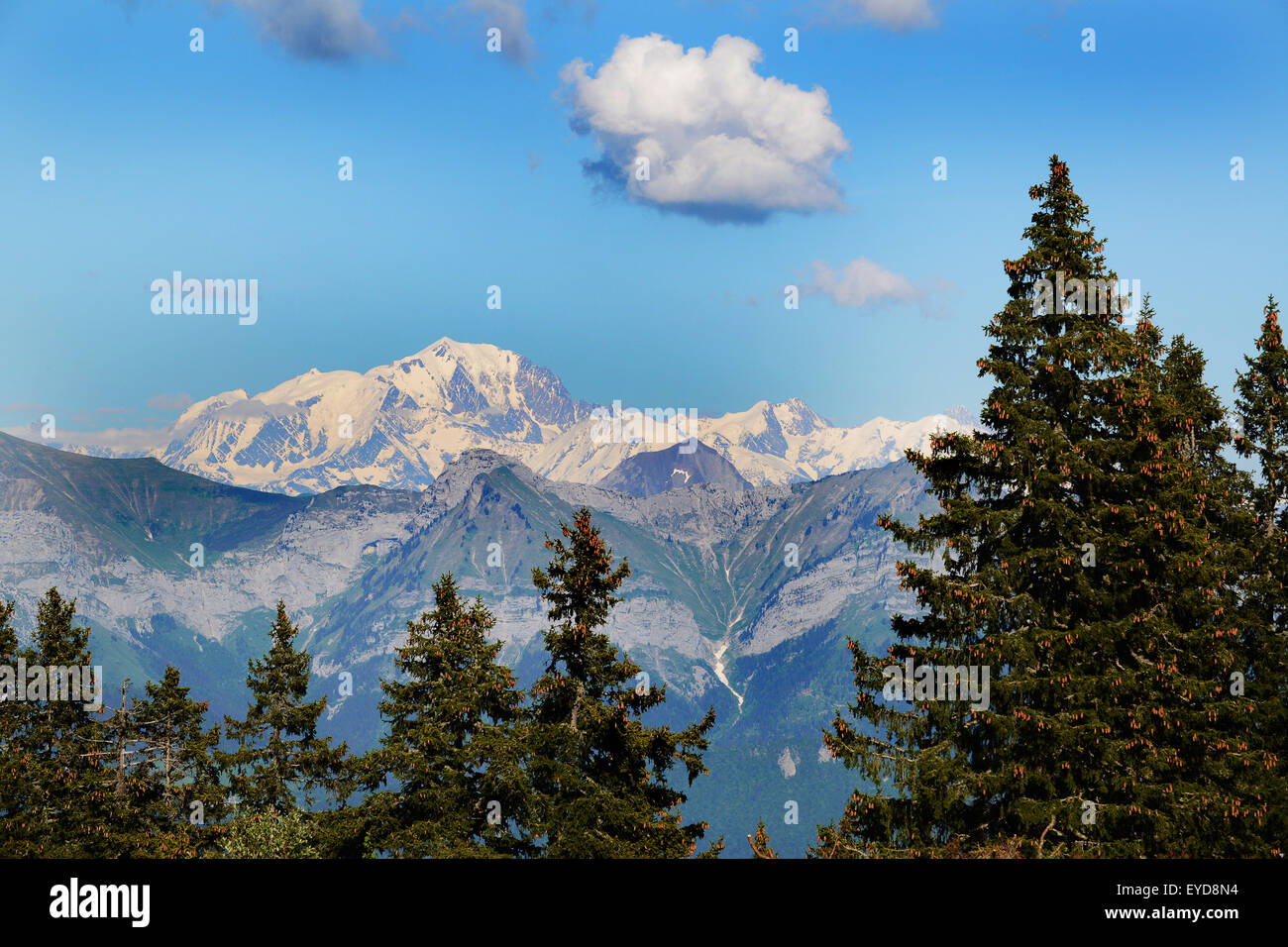 Alpi francesi e del Monte Bianco da Le Semnoz o Crt de Chatillon in Rhone Alpes Francia Foto Stock