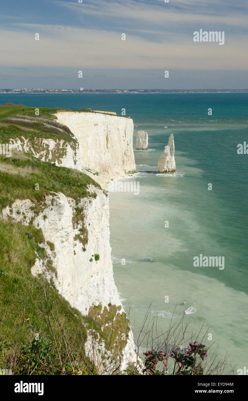 Bianco gesso scogliere vicino alla vecchia Harry Rock, Studland, Dorset, Regno Unito. Aprile. Vista verso nord-est. Foto Stock