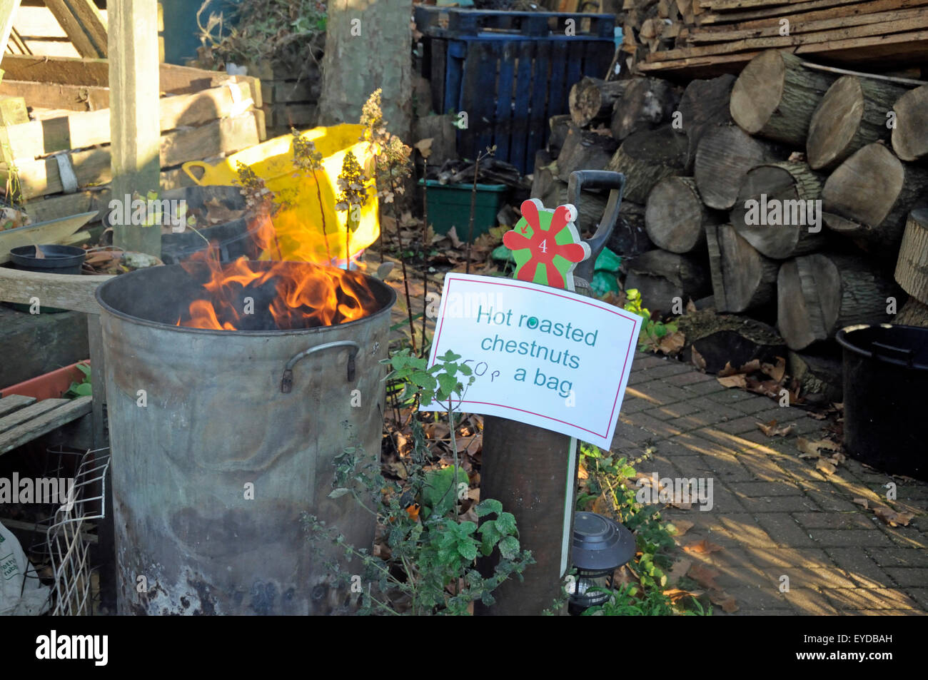 Hot castagne arrostite 50p un sacchetto firmare con il fuoco nel bidone della spazzatura a sinistra e la pila di registro a destra. Angolo del re Henry a piedi giardino, un Foto Stock