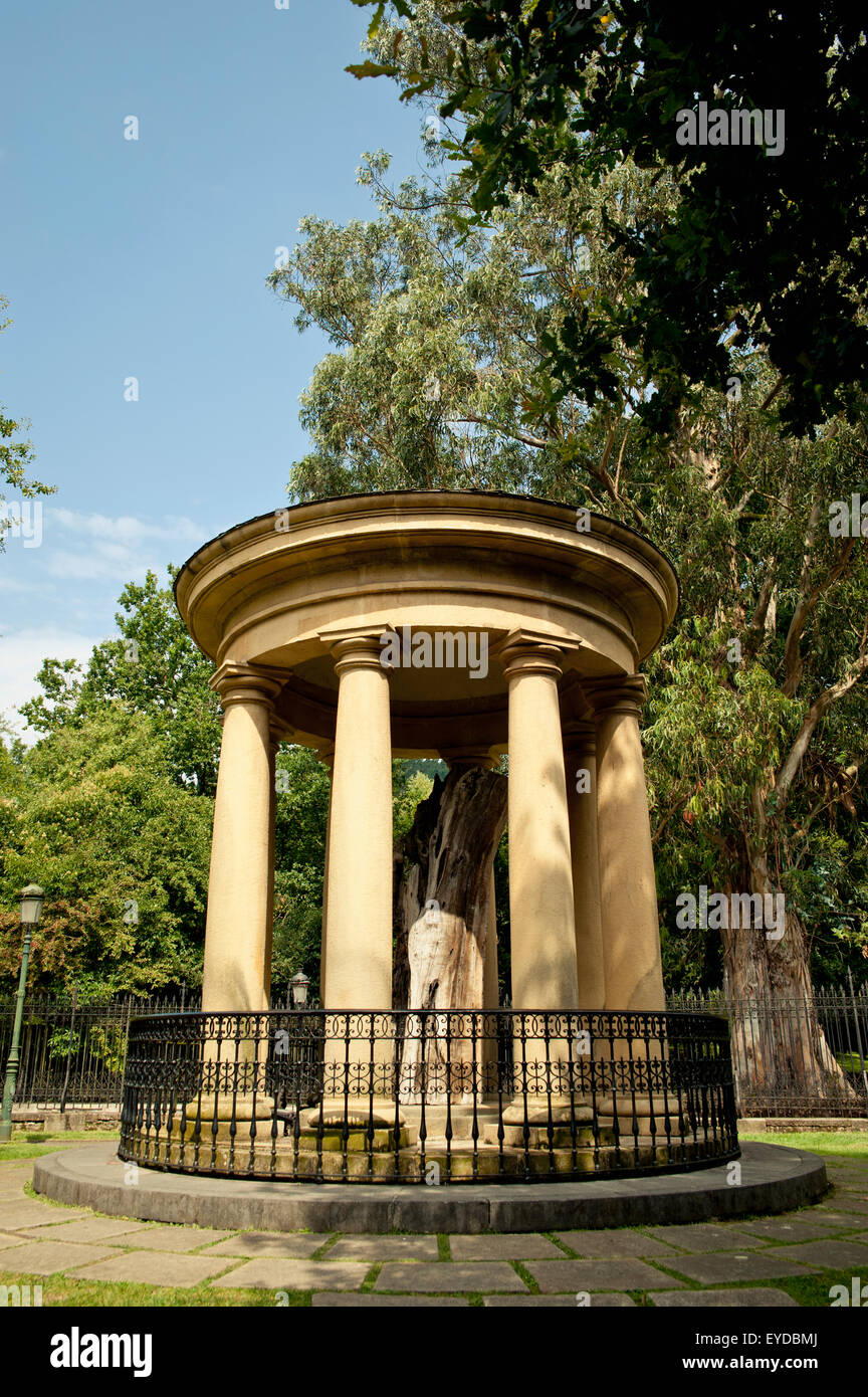 Antica,antiche culture,Arbol de Guernica Foto Stock