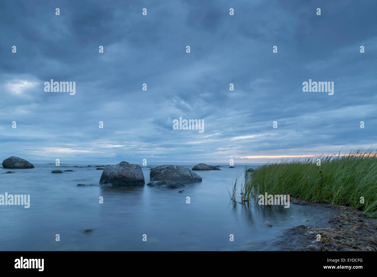 Calma Oceano con rocce e alghe. Foto Stock