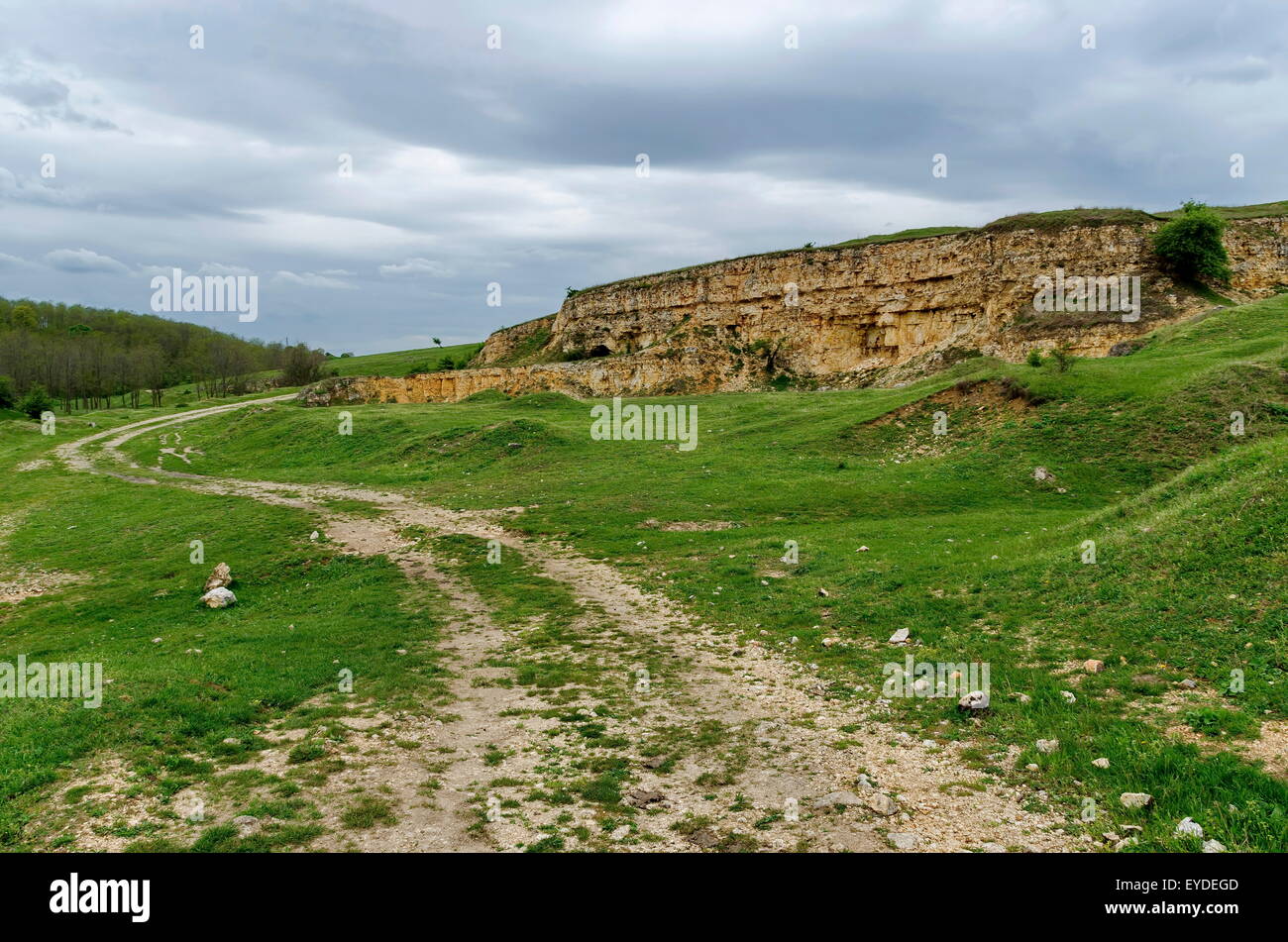 Vista generale verso il costone di roccia sedimentaria nel campo, Ludogorie, Bulgaria Foto Stock