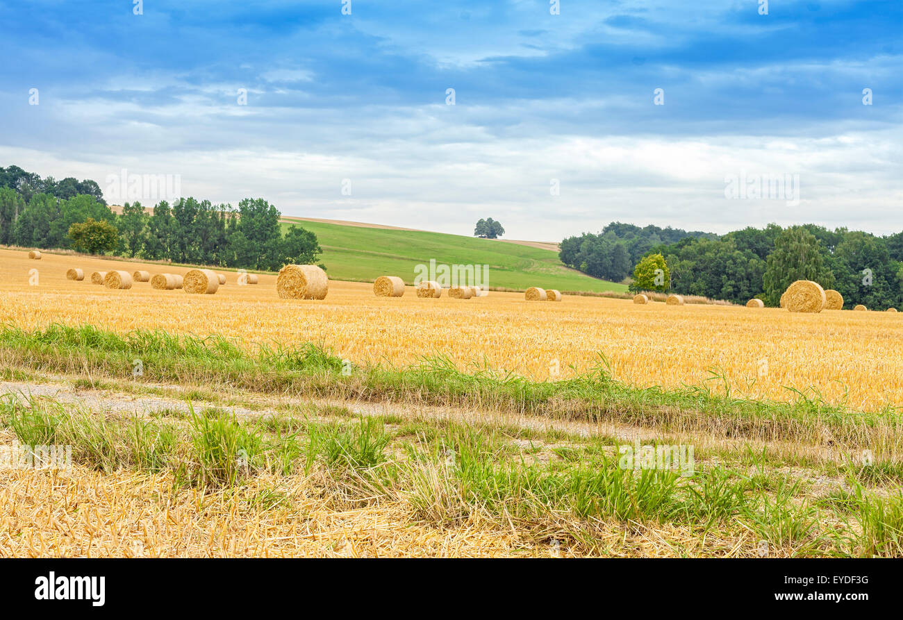 Paesaggio rurale con il campo Percorso e balle di fieno. Foto Stock