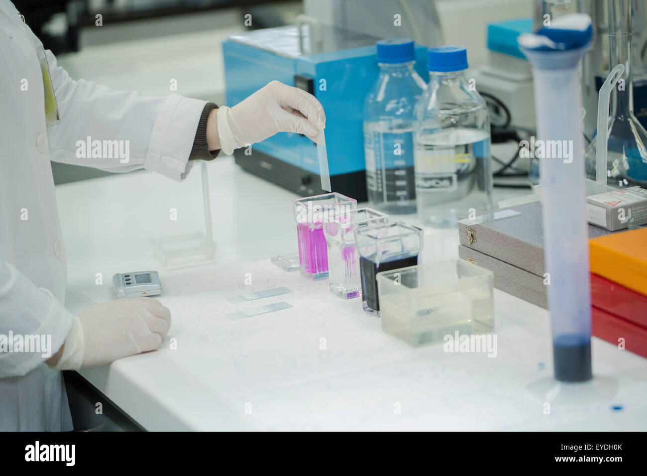 Scienziato facendo sperimentare in laboratorio Foto Stock