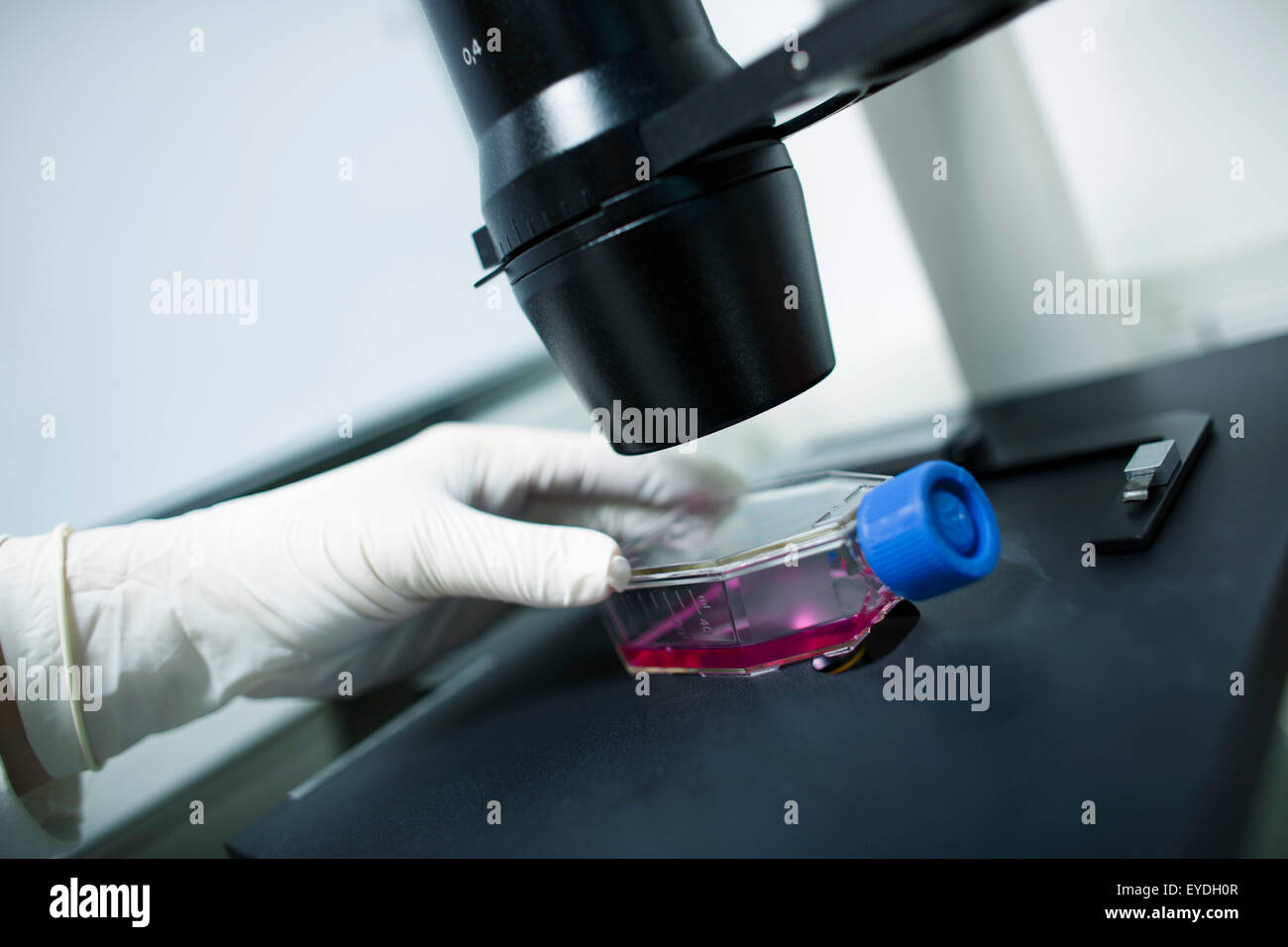 Scienziato utilizza apparecchi scientifici per analizzare un liquido Foto Stock