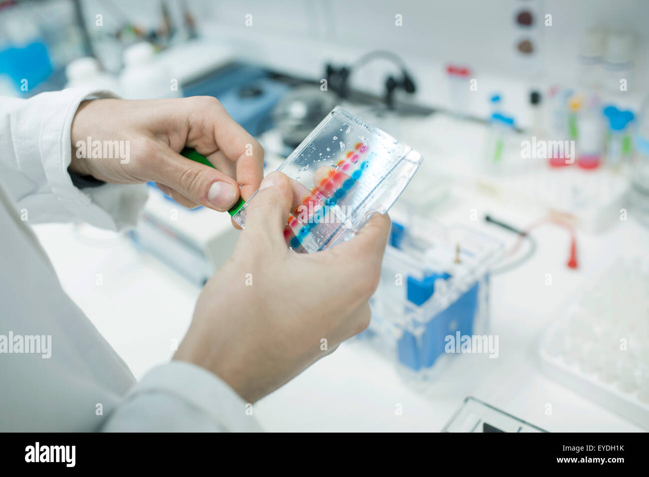 Scienziato analizza campioni scientifici in laboratorio Foto Stock
