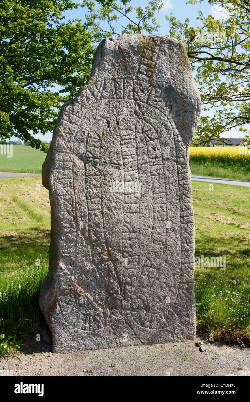 Pietra runica Brogårdstenen vicino a Hasle, isola di Bornholm, Danimarca Foto Stock