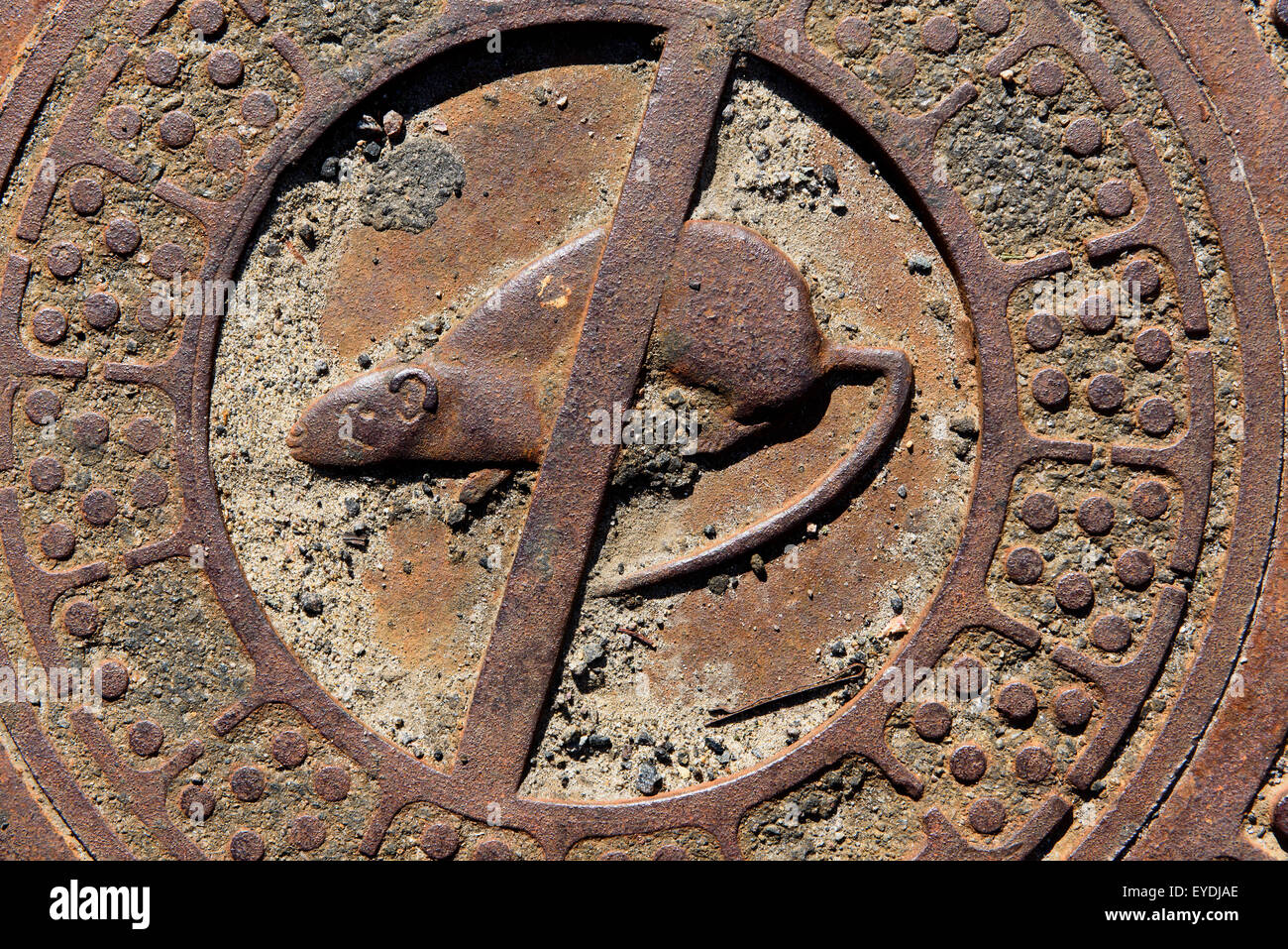 Coperchio di fognature in Gudhhjem, isola di Bornholm Danimarca Foto Stock