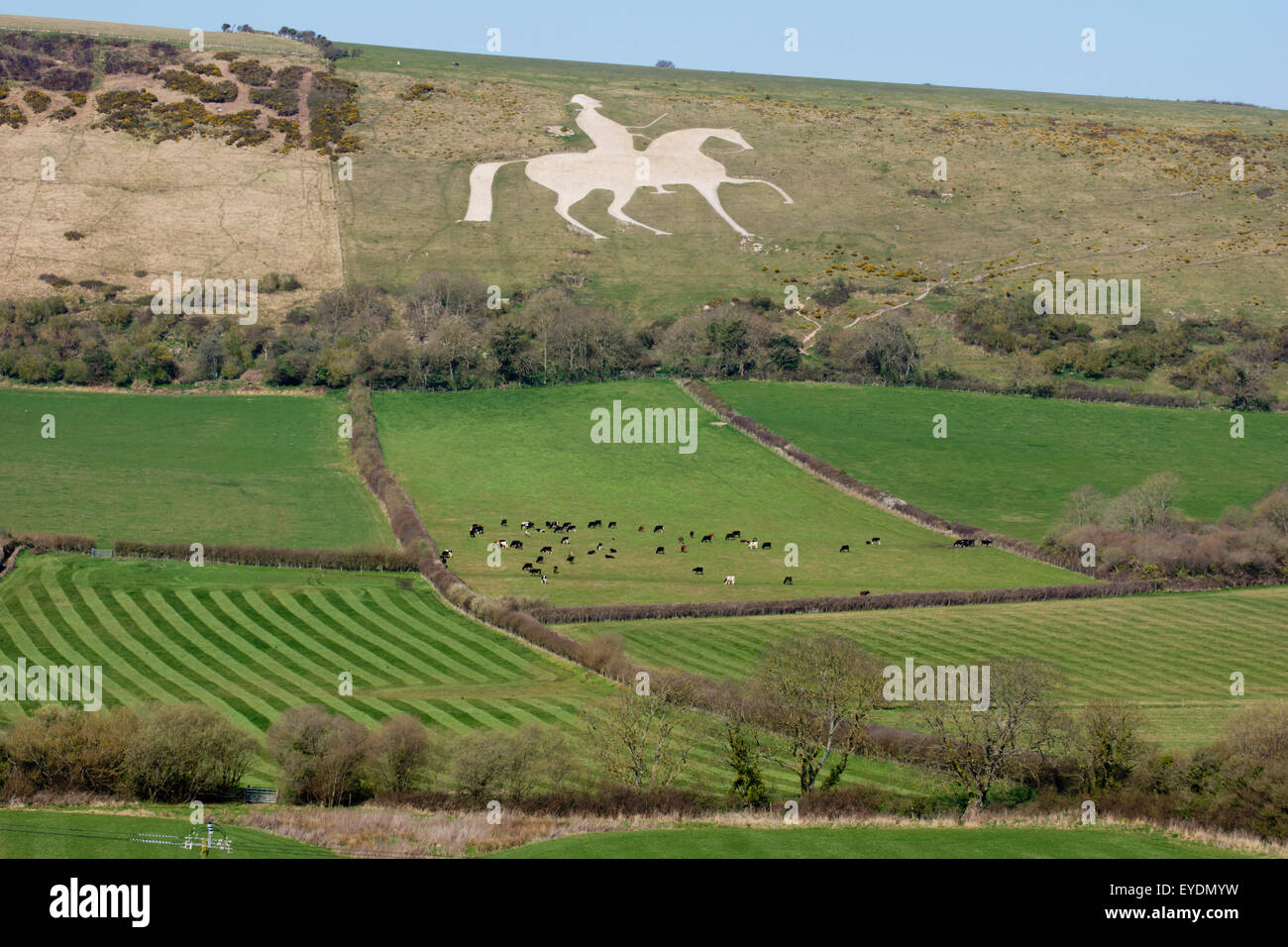 Regno Unito, Inghilterra, Dorset, Osmington Hill White Horse; Weymouth Foto Stock