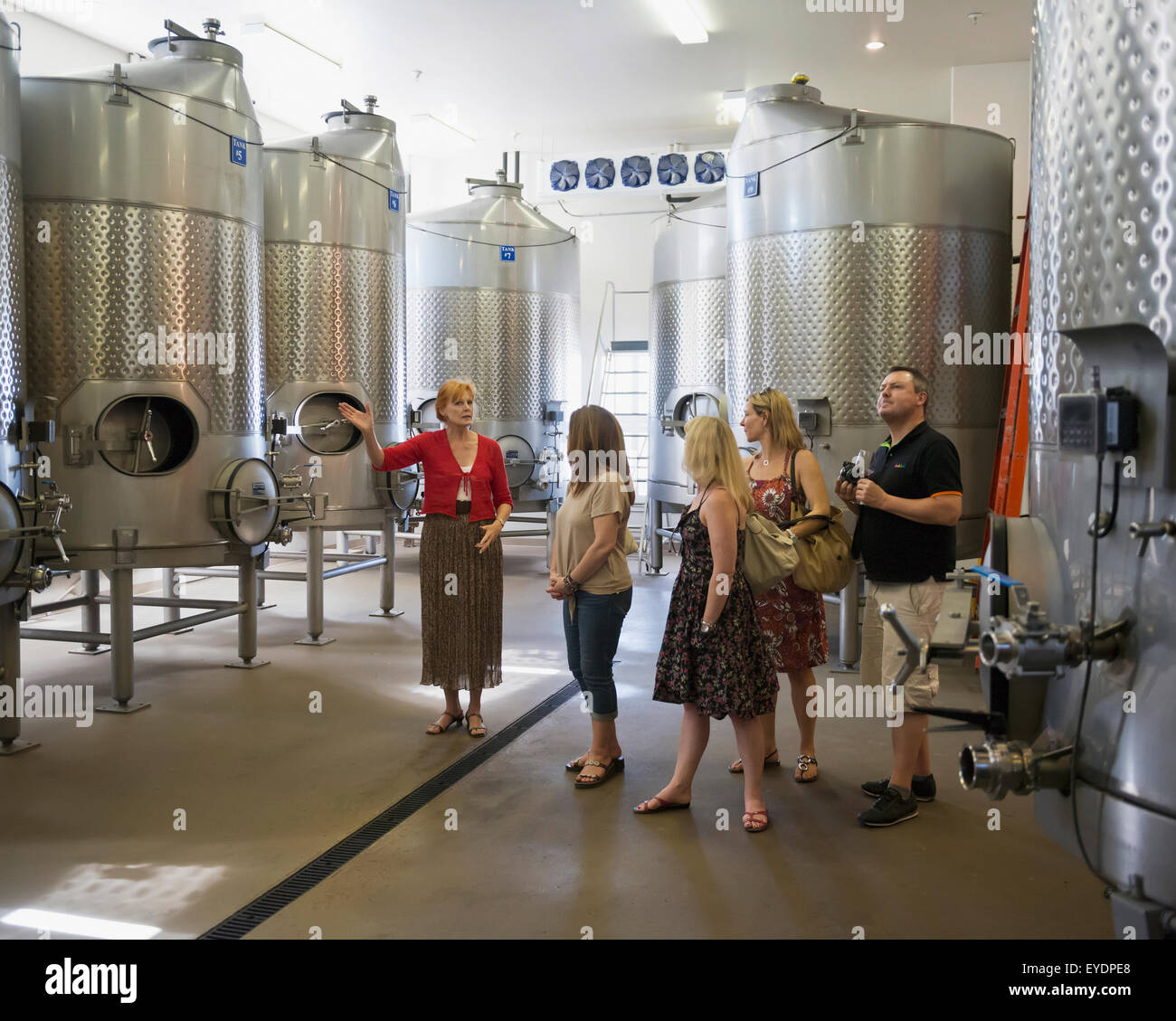 Stati Uniti d'America, Colorado, degustazione vino presso due fiumi cantina e Chateau; Grand Junction Foto Stock