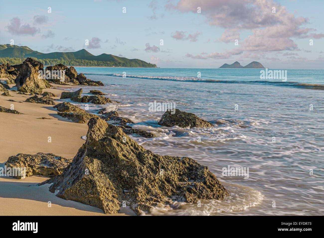 Roccia affiorante sulla riva della spiaggia a soffietto all'alba Waimanalo Bay su Oahu, Hawaii Foto Stock