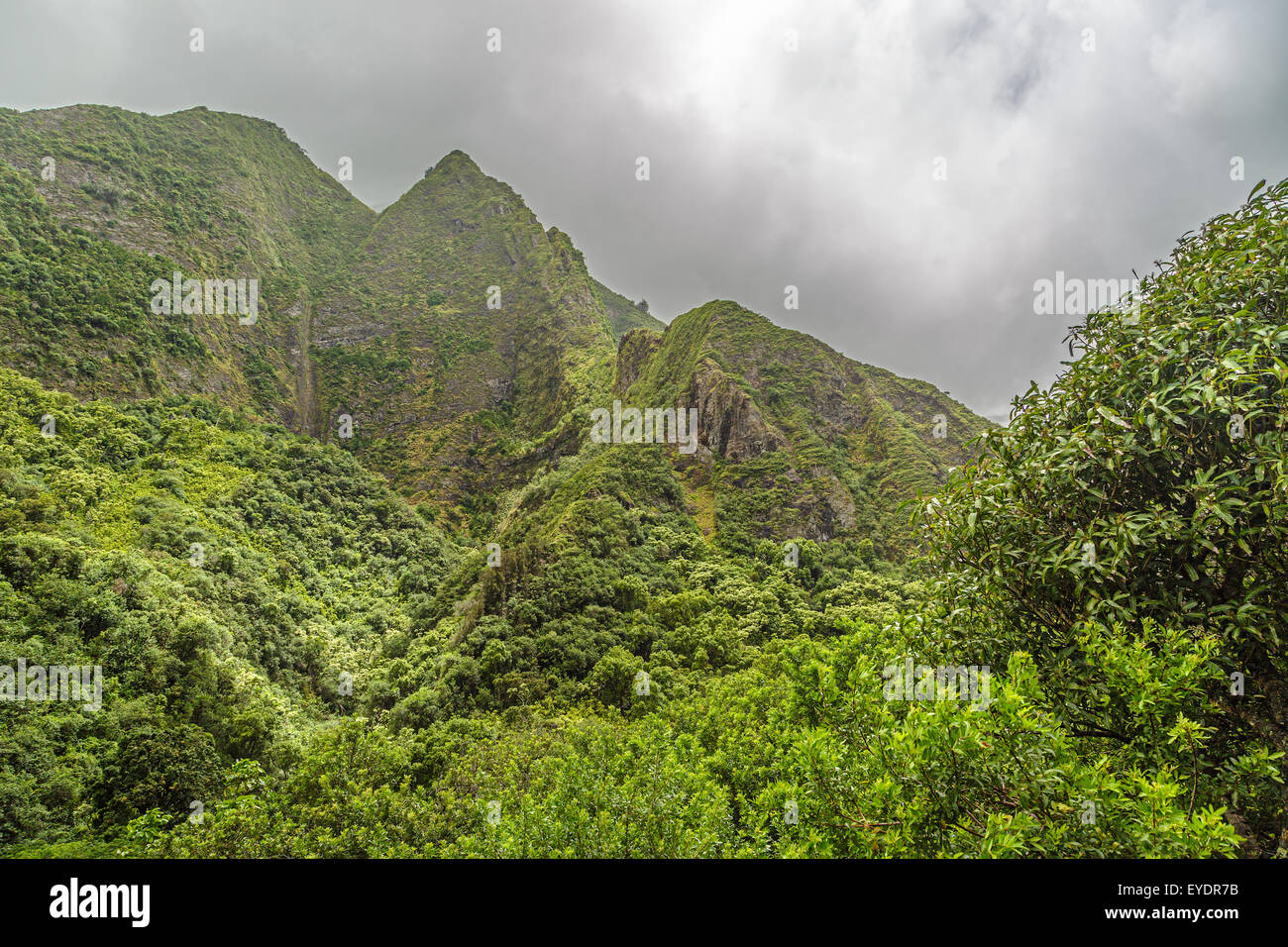 Una vista di Mauna Kahalawai dall'interno Iao Valley State Park a Maui, Hawaii Foto Stock