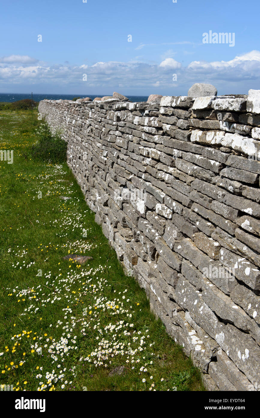 Muro di pietra KarlXgustavs Mur dfrom 1865, Isola se Öland, provincia Kalmar, Svezia Foto Stock