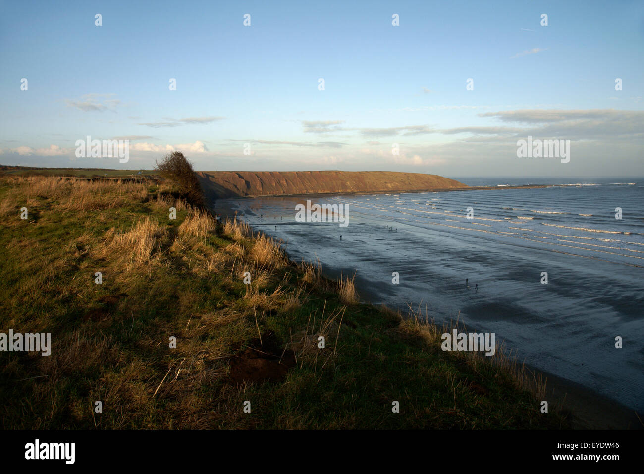 Filey Brig, una caratteristica distintiva della costa dello Yorkshire; Filey, nello Yorkshire, Inghilterra Foto Stock