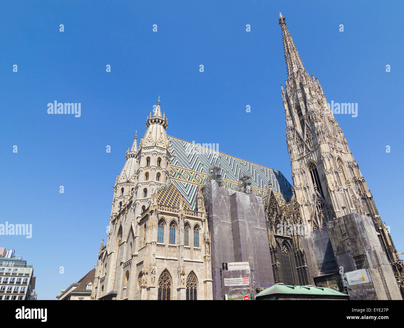 Stephansdom (Cattedrale Santo Stefano) è la chiesa madre dell arcidiocesi di Vienna e la sede dell'Arcivescovo di Vienna Foto Stock