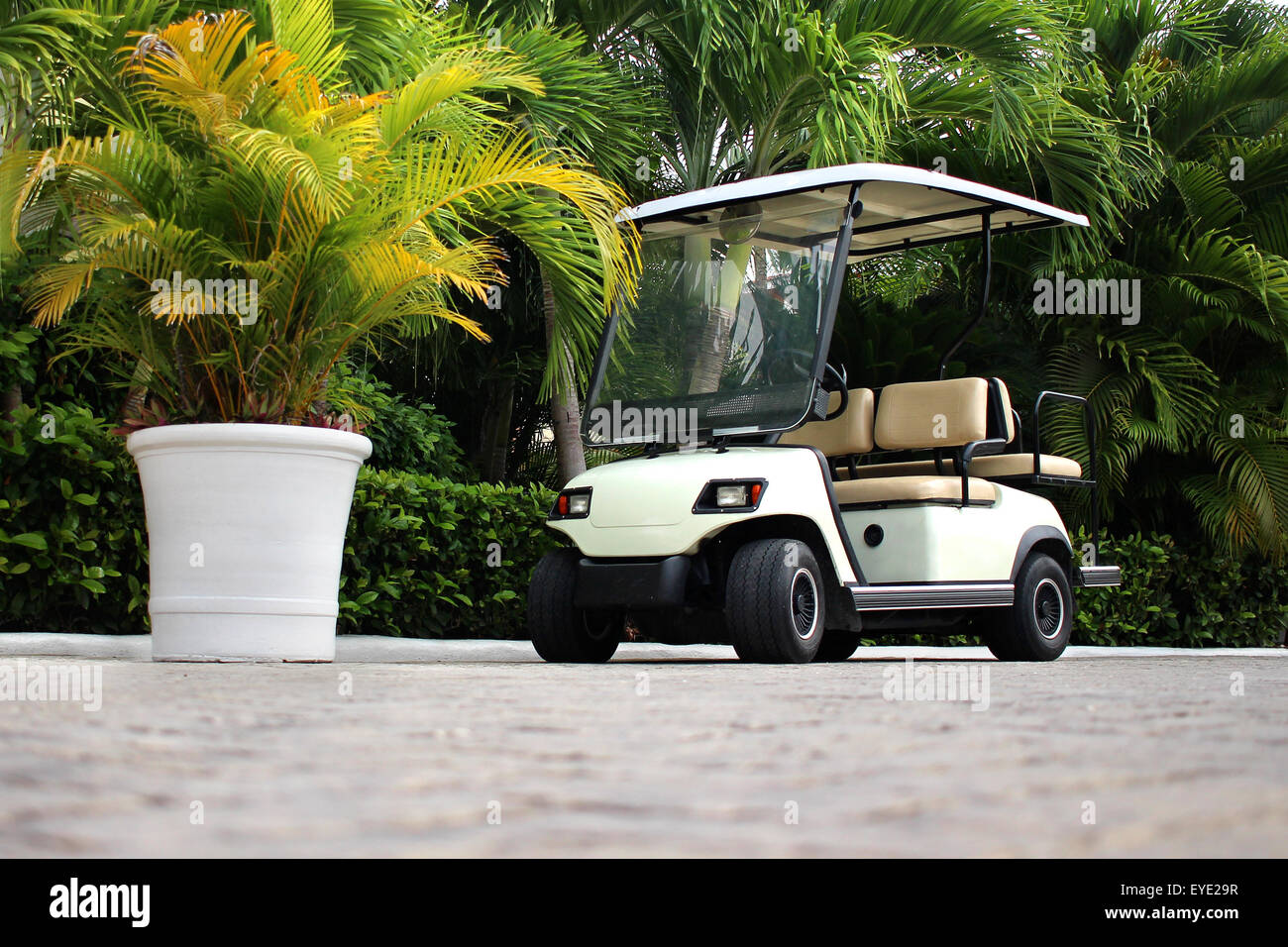 Carrello da golf presso il resort tropicale Foto Stock