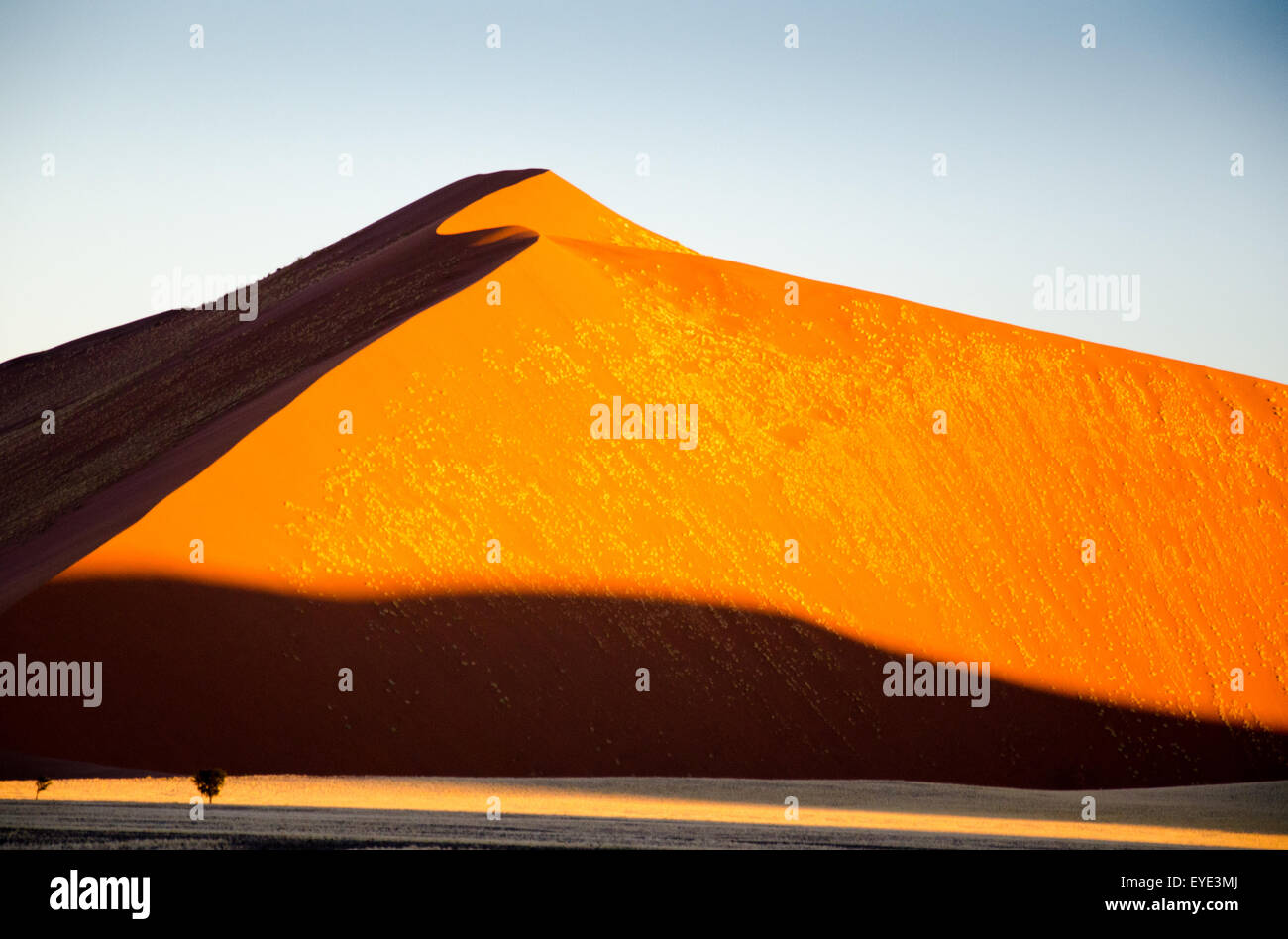 Spettacolari Dune di sabbia 45 in serata Sun, Sossusvlei, deserto Namib-Naukluft, Namibia Foto Stock