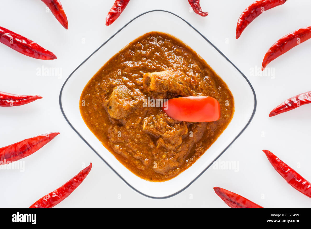 Vista aerea di delizie indiane di montone rogan josh con peperoncino rosso. Questo piccante piatto del Kashmir utilizza peperoncino rosso. Foto Stock