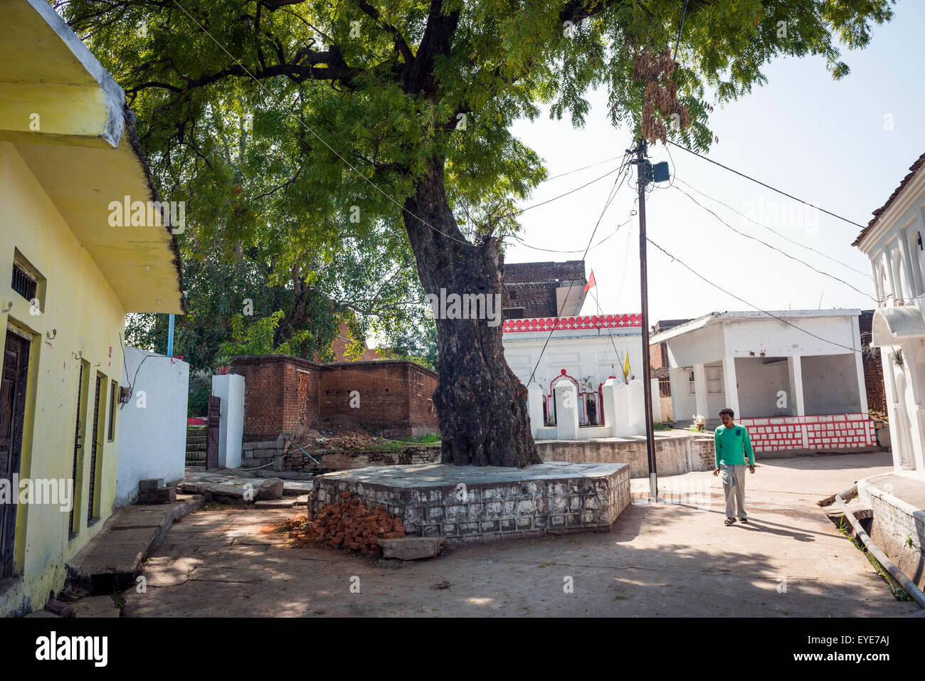 Spazio aperto nel vecchio villaggio di Khajuraho, Madhya Pradesh, India Foto Stock