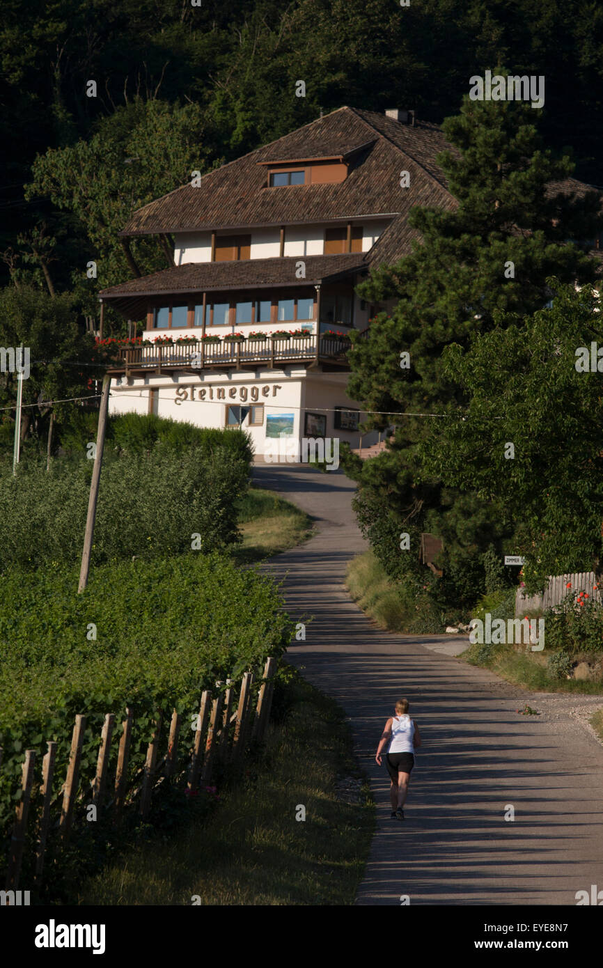 Donna cammina in salita su una tranquilla strada rurale nel nord Italia, Alto Adige. Foto Stock