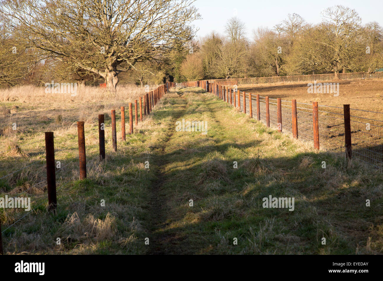 Paese tranquillo lane Sutton, Suffolk, Inghilterra, Regno Unito Foto Stock