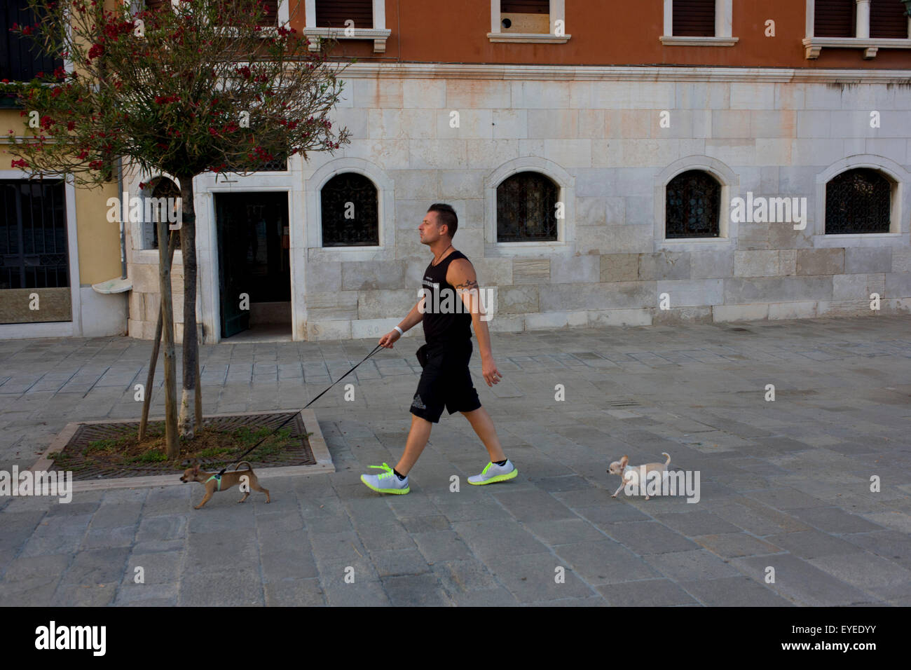 Un proprietario del cane e la sua miniatura due cani durante una fresca serata a piedi lungo il mare nella zona di Dorsoduro, un quartiere di Venezia, ho Foto Stock