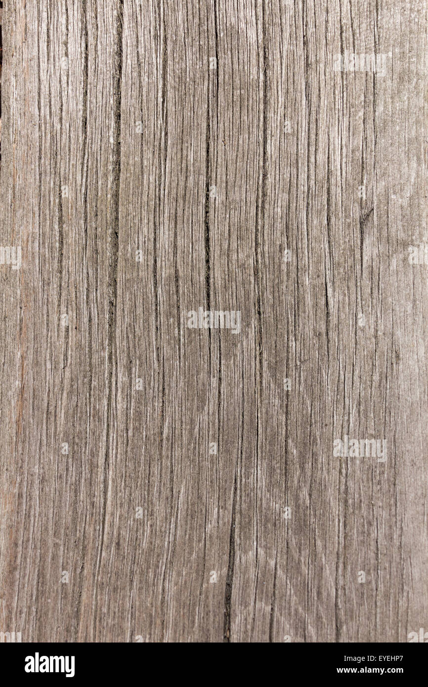 Il legno di close-up di texture in legno Foto Stock