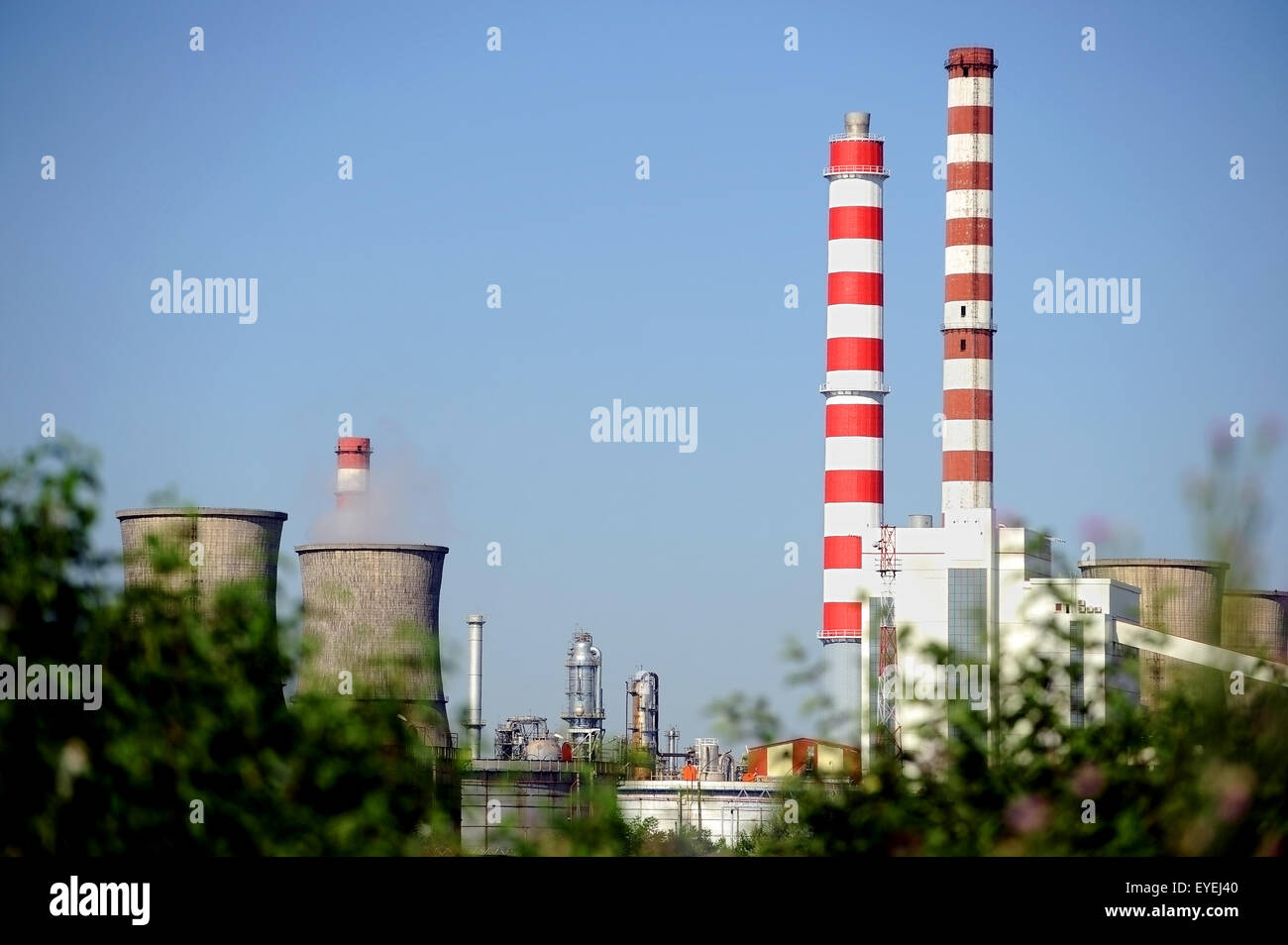 Paesaggio industriale con impianto petrolchimico visto attraverso le boccole Foto Stock