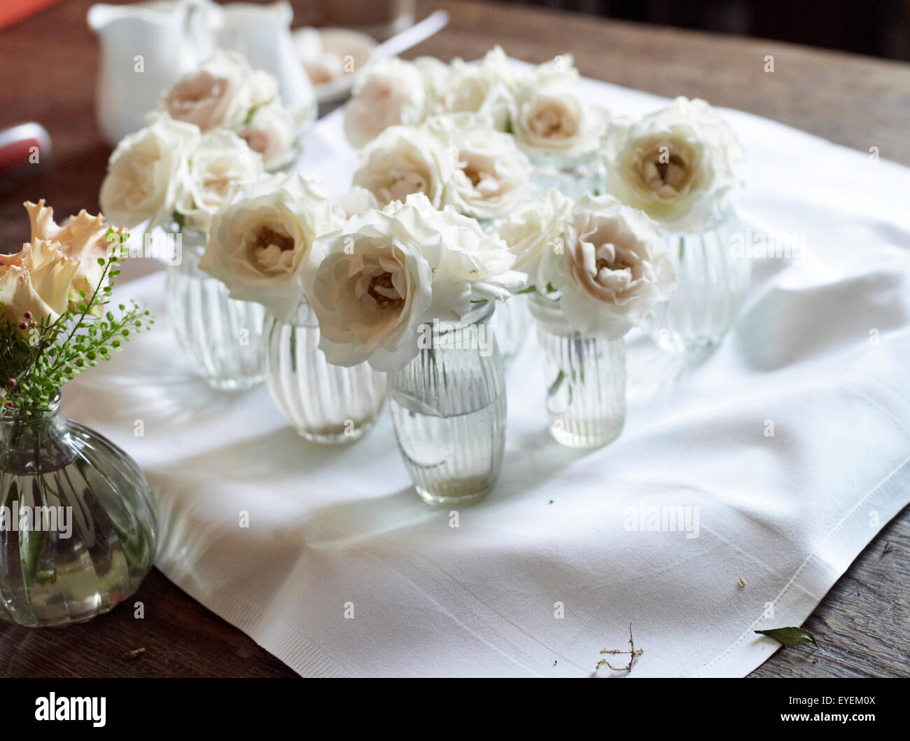 Bella Fotografia Ovest pulsante bianco fiori foro Foto Stock