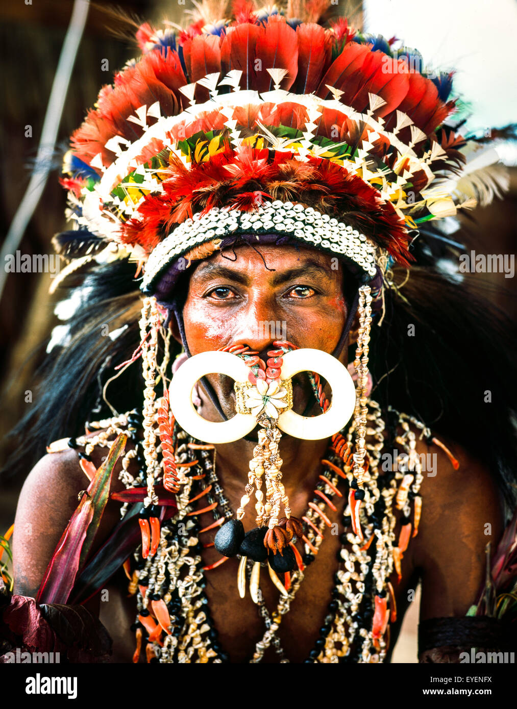 L uomo da Oro Provincia vestito in costumi tradizionali; Miln Bay, Papua Nuova Guinea Foto Stock
