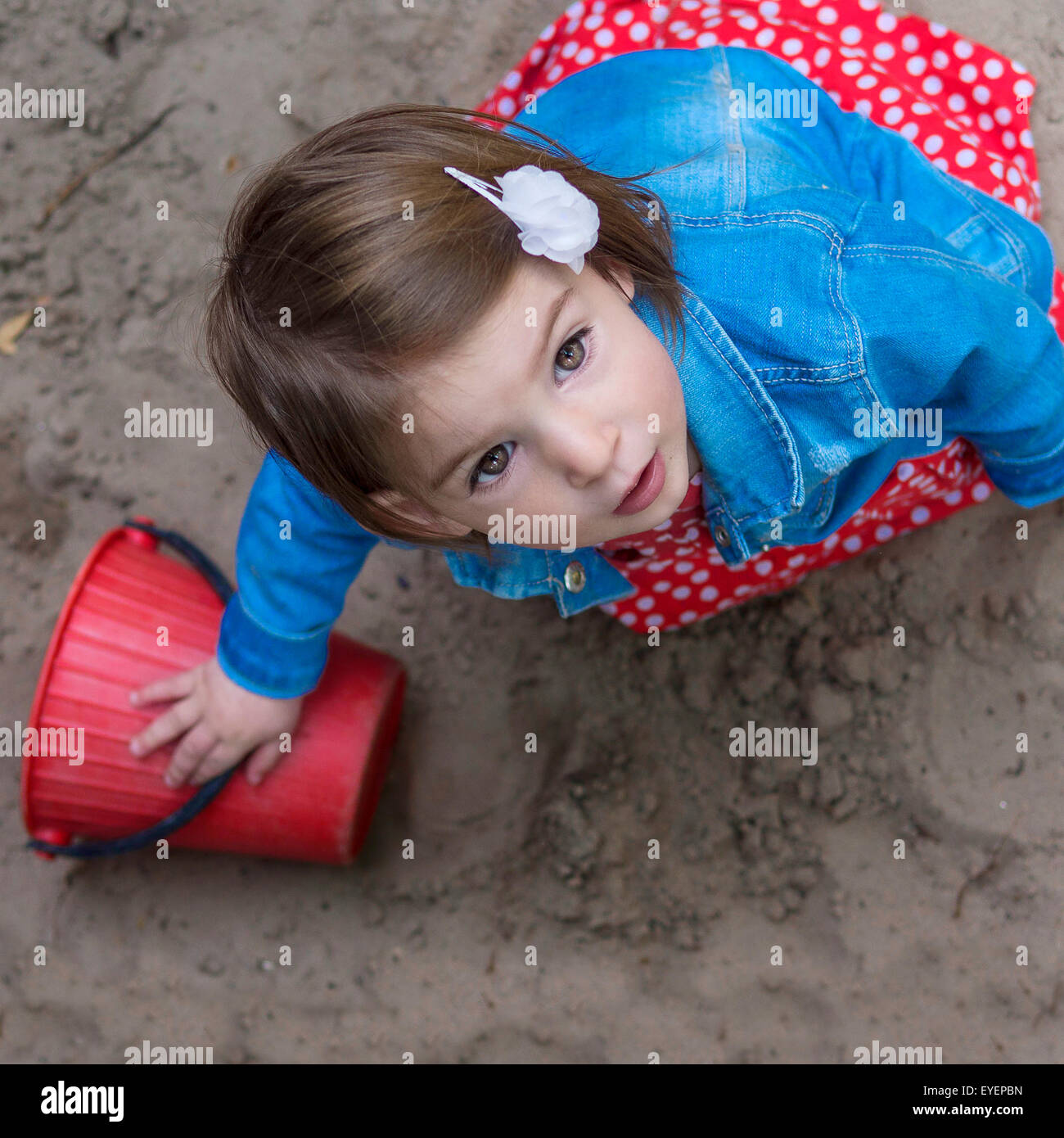 Bellissima bambina con occhi marroni nel contenitore di sabbia Foto Stock