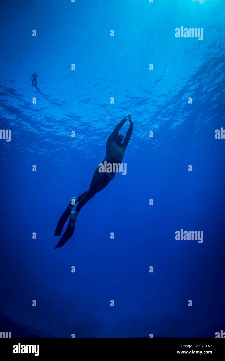 Diving libero; Niue Foto Stock