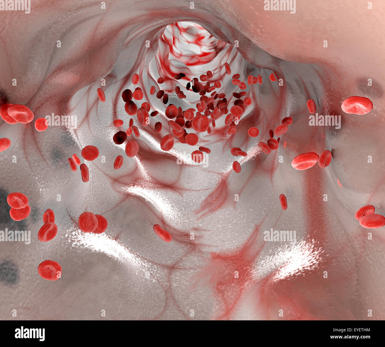 3d la sezione di una vena e il passaggio di cellule rosse del sangue le cellule rosse del sangue in un vaso sanguigno Foto Stock